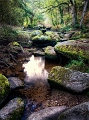 paysage 21_10_11n01bis